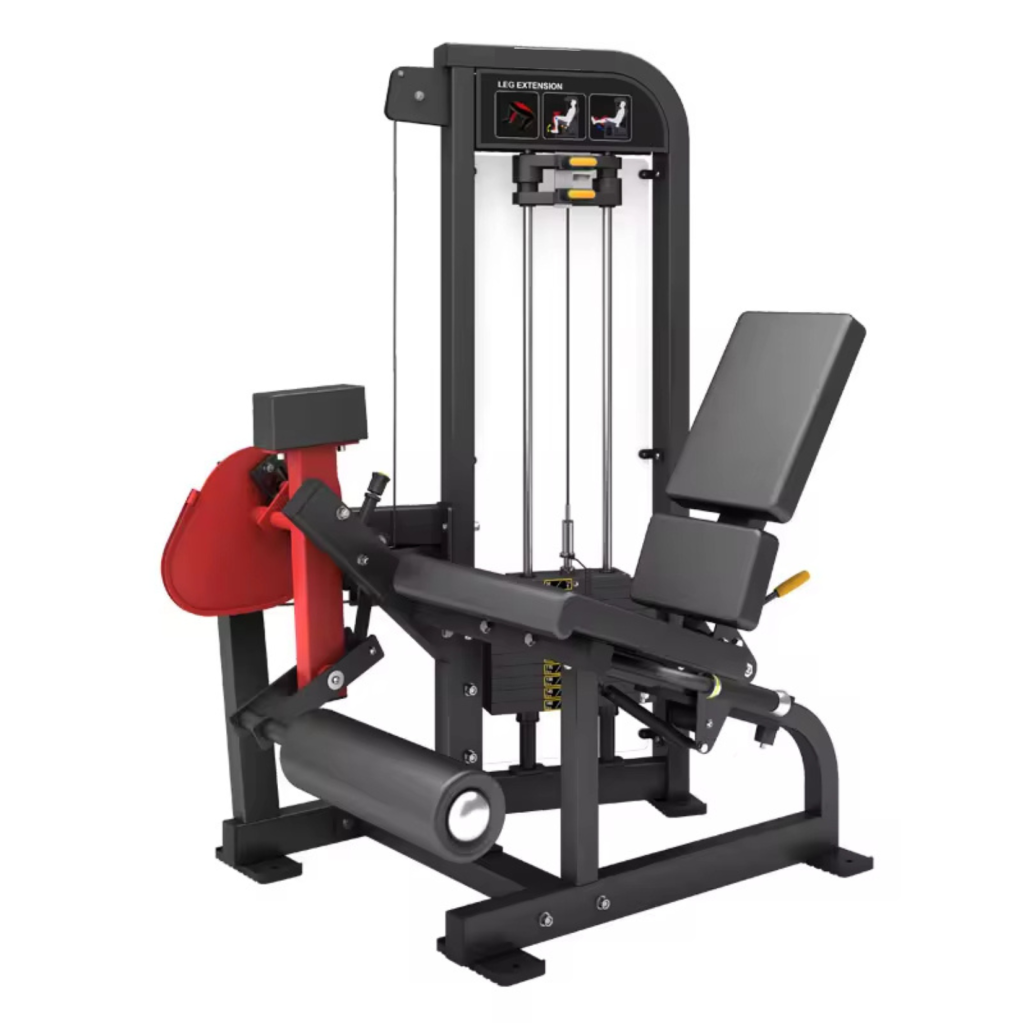 Body Building Fitness Equipment Strength Equipment